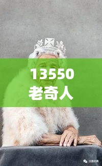 物以稀为贵 第2页