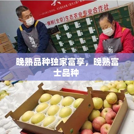 龙飞九五 第2页