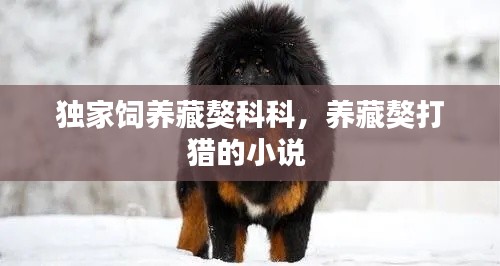 关于我们 第152页