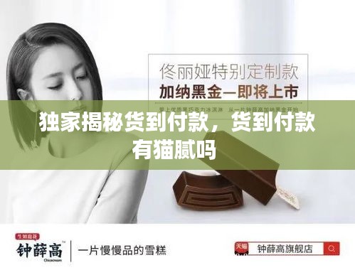 联系我们 第144页