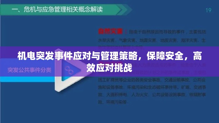 虫言鸟迹 第2页