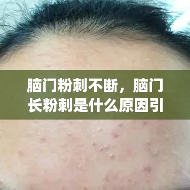 真独简贵 第2页