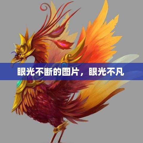 眼光不断的图片，眼光不凡 