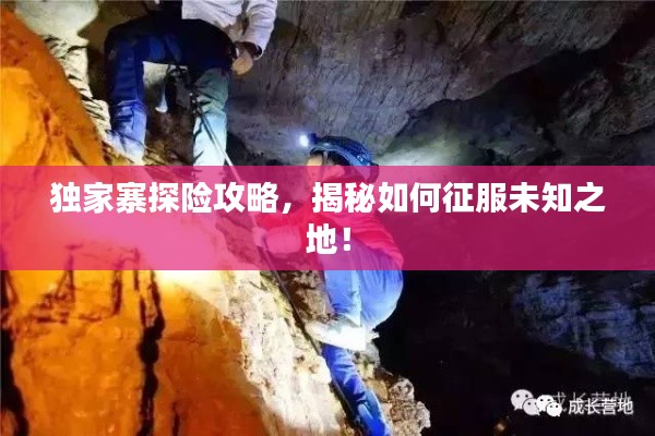 衣不兼彩 第2页