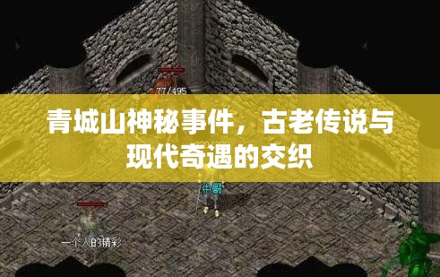 飞沙走石 第2页