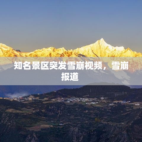 寒蝉僵鸟 第2页