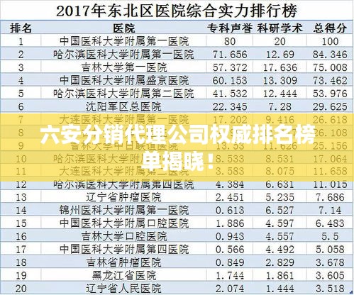 六安分销代理公司权威排名榜单揭晓！