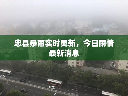 shoudangqichong 第2页