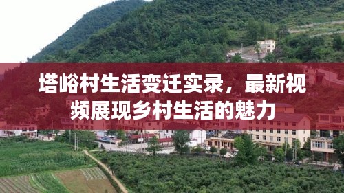 百不获一 第2页