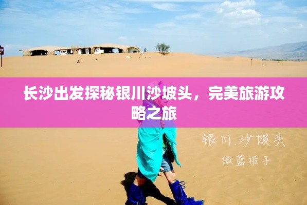 还醇返朴 第2页