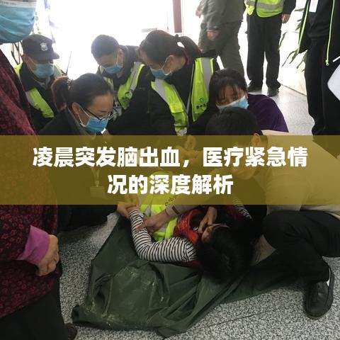 凌晨突发脑出血，医疗紧急情况的深度解析