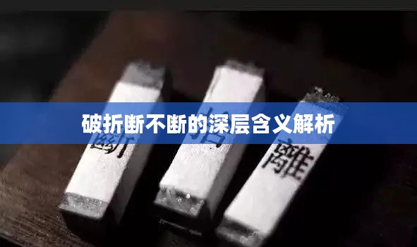忠心耿耿 第2页