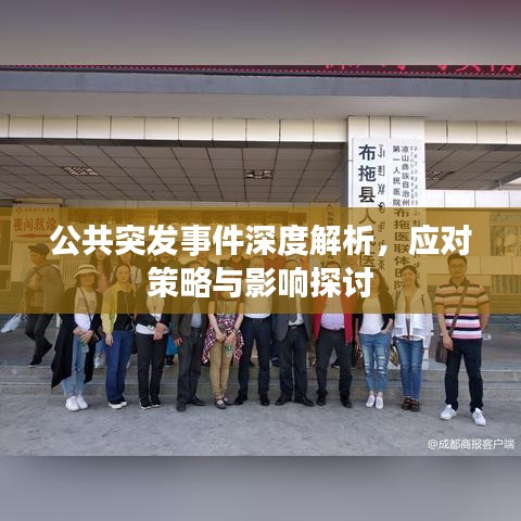 公共突发事件深度解析，应对策略与影响探讨