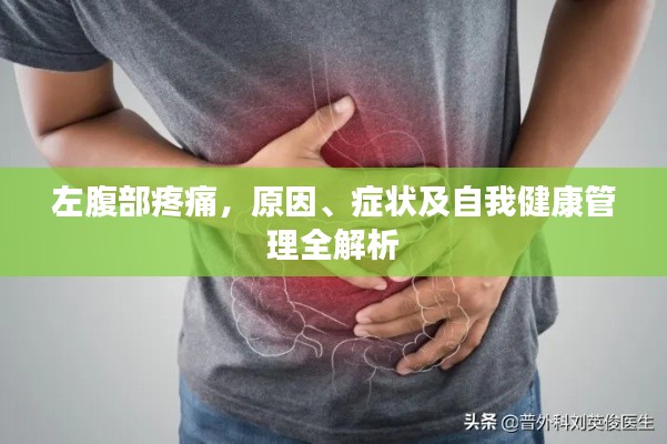 关于我们 第87页