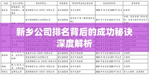 新乡公司排名背后的成功秘诀深度解析