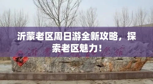 考级报名 第69页