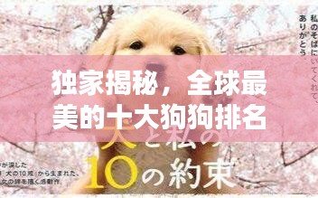 培训课程 第35页