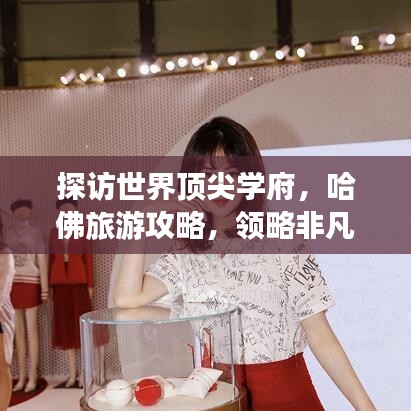 关于我们 第27页