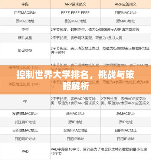控制世界大学排名，挑战与策略解析