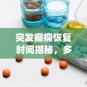 春蛙秋蝉