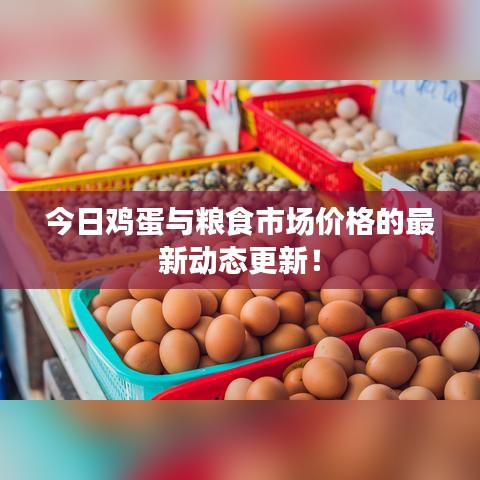 关于我们 第21页