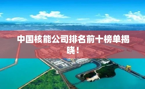 囫囵吞枣
