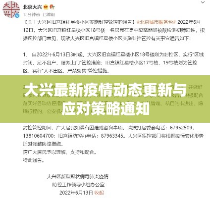 关于我们 第17页