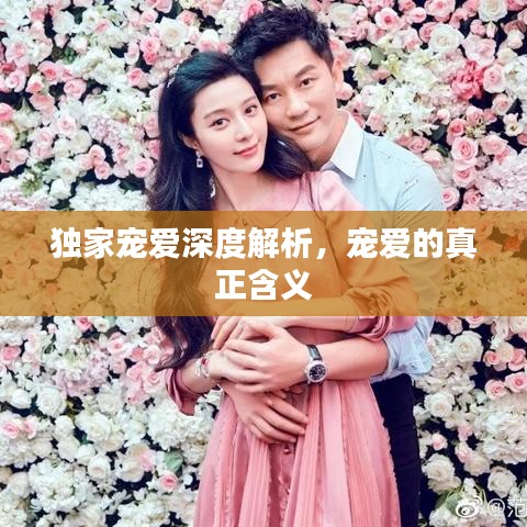 独家宠爱深度解析，宠爱的真正含义