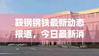 niaolibieguan