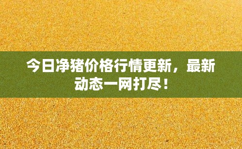 物稀为贵