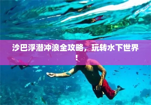 沙巴浮潜冲浪全攻略，玩转水下世界！
