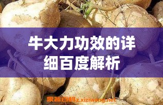张狂妄行