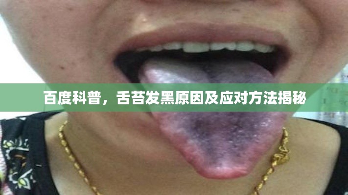 关于我们 第4页