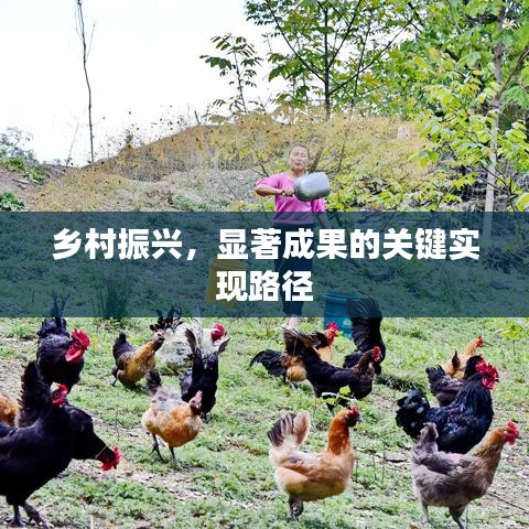 乡村振兴，显著成果的关键实现路径