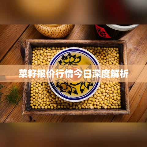 菜籽报价行情今日深度解析