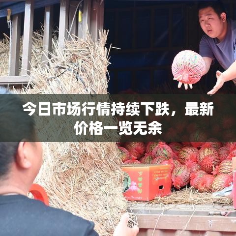 今日市场行情持续下跌，最新价格一览无余