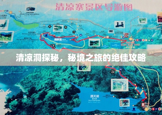 考级报名
